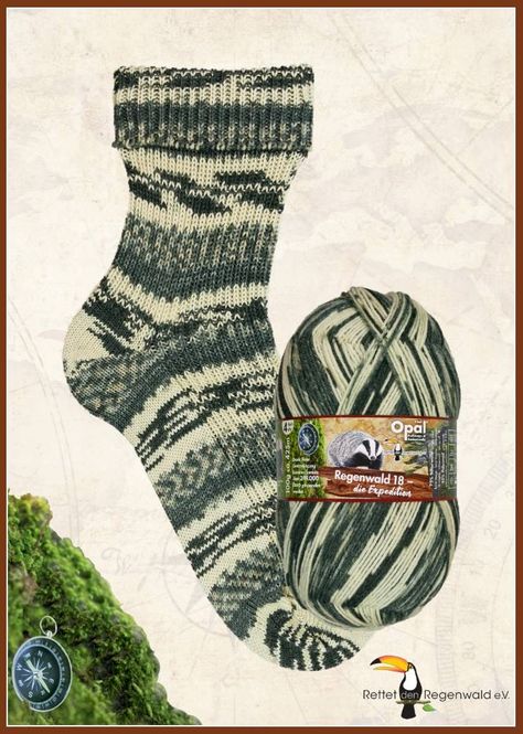 Hovedbilde Koch Karlchen