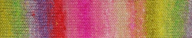 Hovedbilde Silk Garden 491