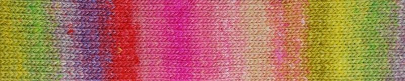 Silk Garden 491