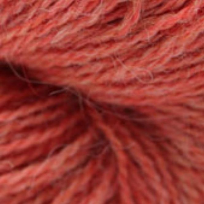 Hovedbilde Babyalpaca- Korall RAS