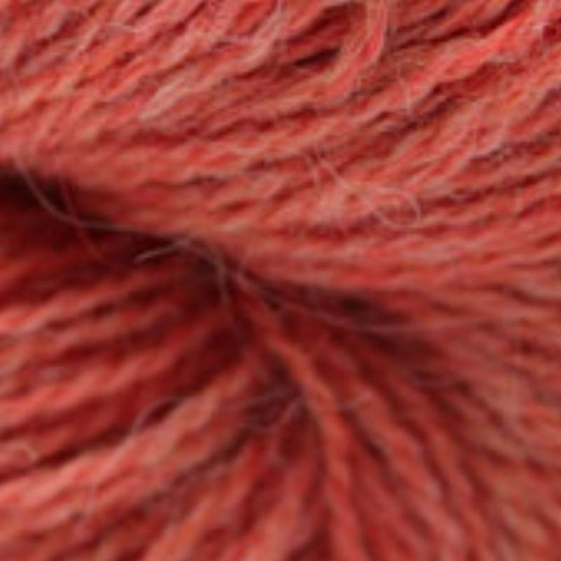 Babyalpaca- Korall RAS