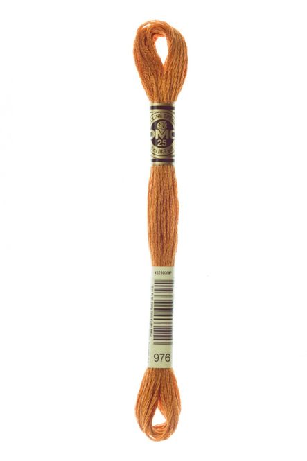 Hovedbilde DMC 976
